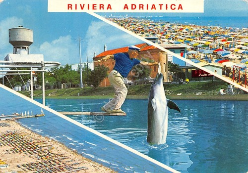 Cartolina riviera adriatica - cartolina,