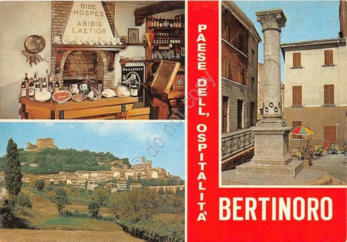 Cartolina bertinoro vedutine - ,